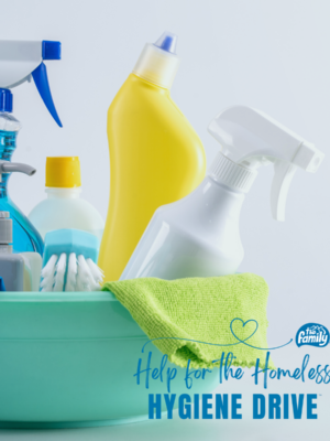 Cleaning supplies in a green bucket